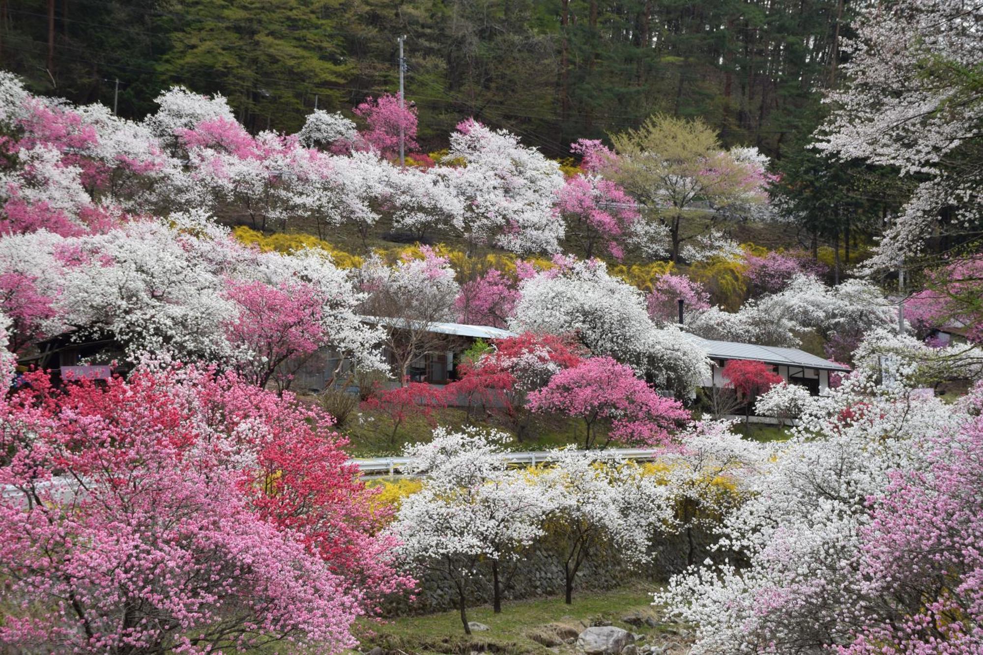 Hotel Yamabuki Komagane Bagian luar foto